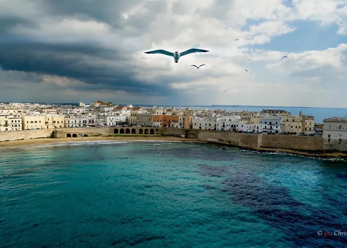 Ventidimaregallipoli